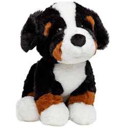 Hund Berner Sennen "Rasken"