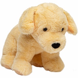 Hund Golden Retriver "Dixie"