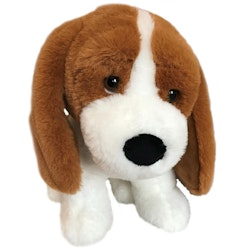 Hund Beagle "Sara"