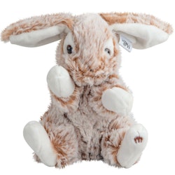 The Rabbit "Lucy"