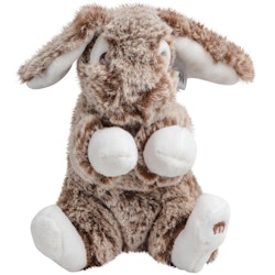 The Rabbit "Luna"