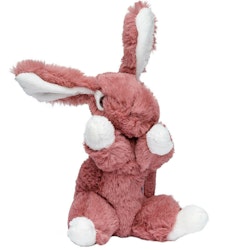Kaninen "Lottie"