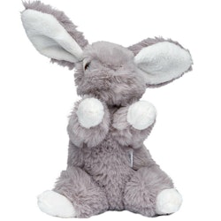 The rabbit "Lollo"