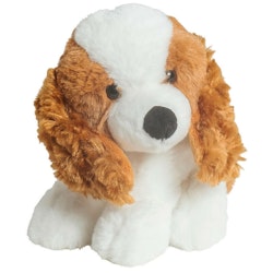Hund Cocker Spaniel "liten"