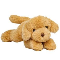 Hund "Labrador"