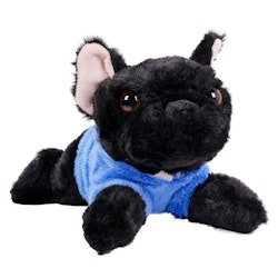 Hund Fransk Bulldog i Hoodie