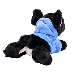 Hund Fransk Bulldog i Hoodie