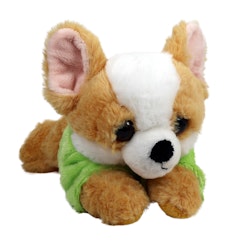 Hund Chihuahua i Hoodie