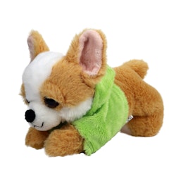 Hund Chihuahua i Hoodie