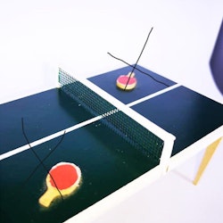 Bordtennisnät Pingisnät