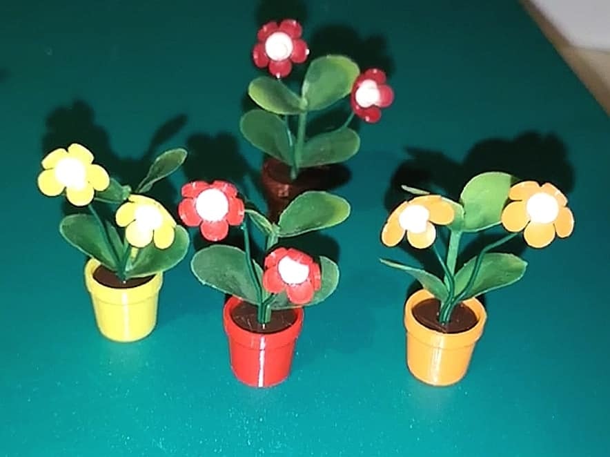 Blomma med knopp i kruka