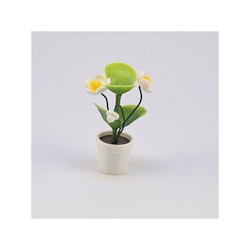 Blomma med knopp i kruka