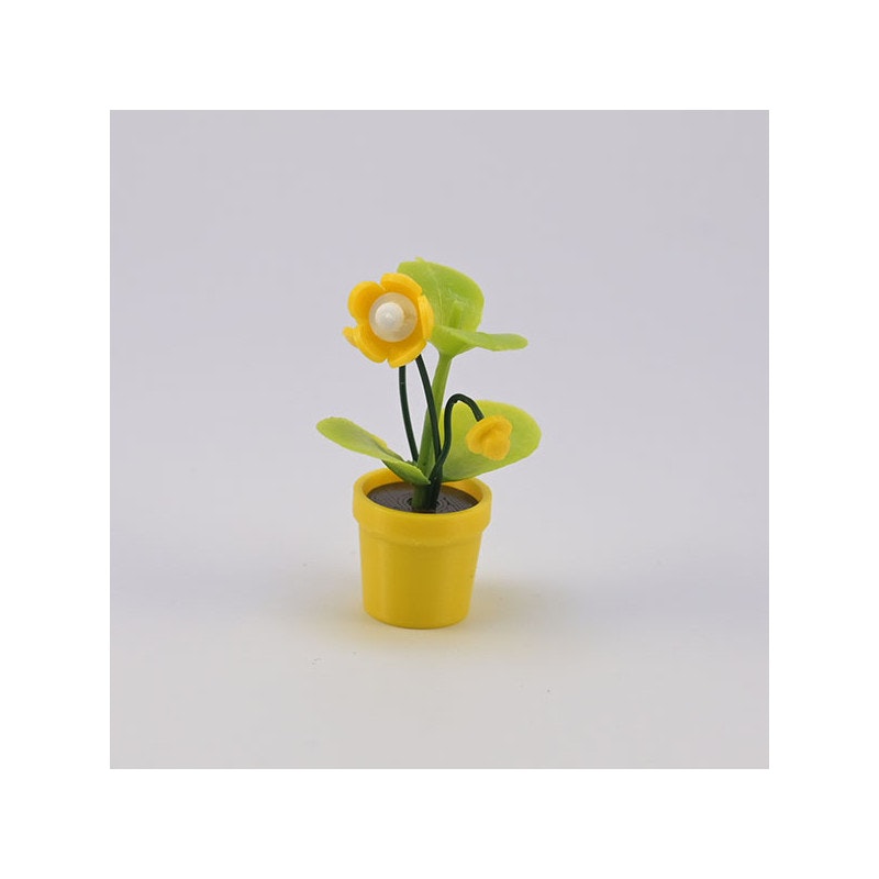 Blomma med knopp i kruka