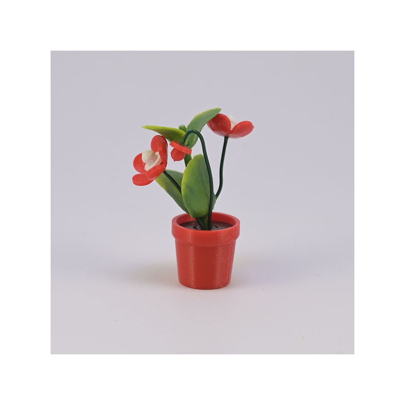 Blomma med knopp i kruka
