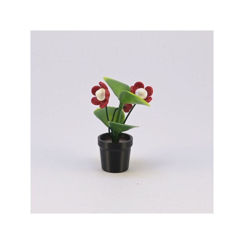 Blomma med knopp i kruka