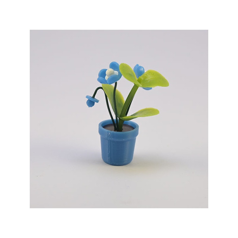 Blomma med knopp i kruka