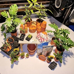 Kruka Terracotta med fat storlek Liten