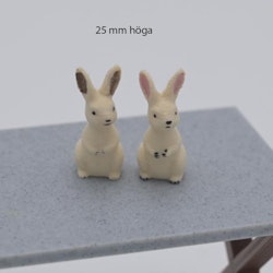 Kanin som sitter 25 mm hög