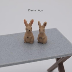 Kanin som sitter 25 mm hög