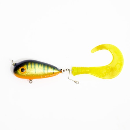Tigermouth