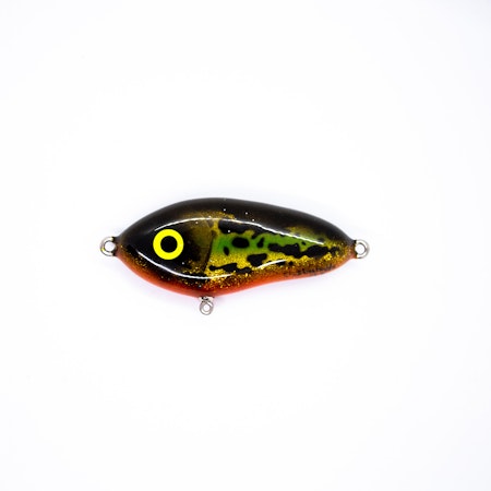 Shining burbot