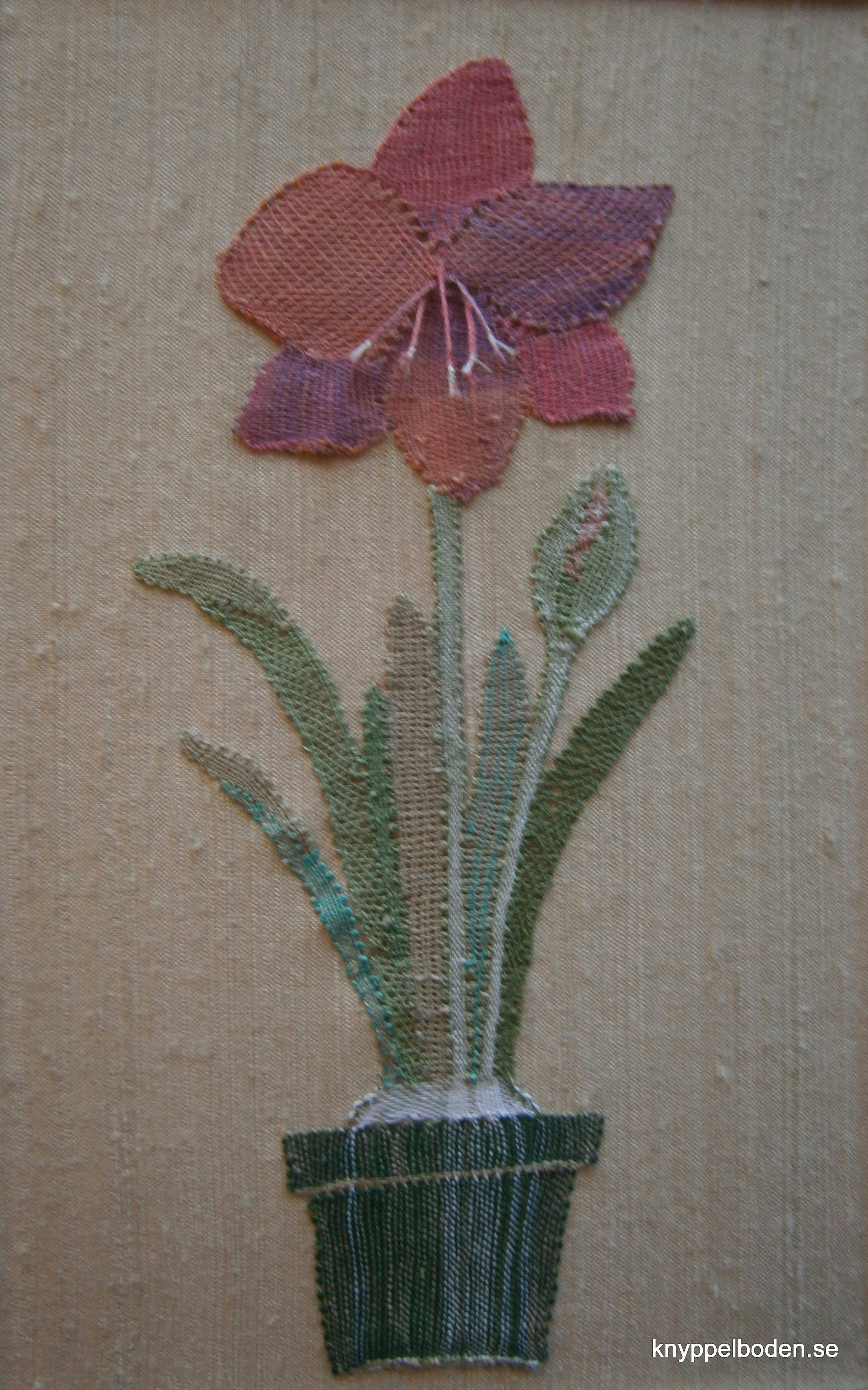 Amaryllis  11x26 cm