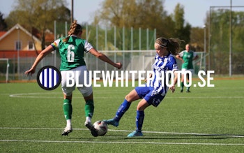 IK ZENITH-IFK GÖTEBORG AZ225730
