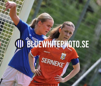 HALMSTAD BK-IFK GÖTEBORG DH250168