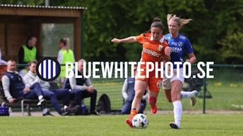 HALMSTAD BK-IFK GÖTEBORG DH250545