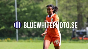 HALMSTAD BK-IFK GÖTEBORG DH251655