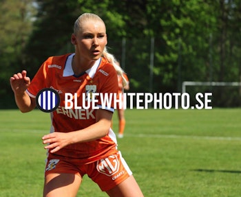 HALMSTAD BK-IFK GÖTEBORG DH251236