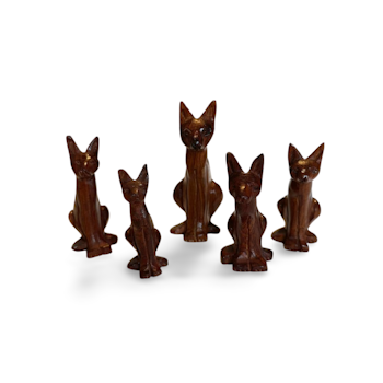 KattFamilj