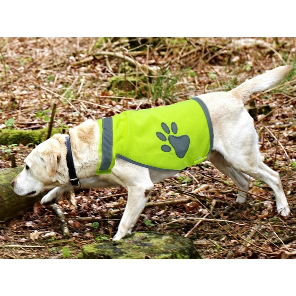 Reflexväst för hund
