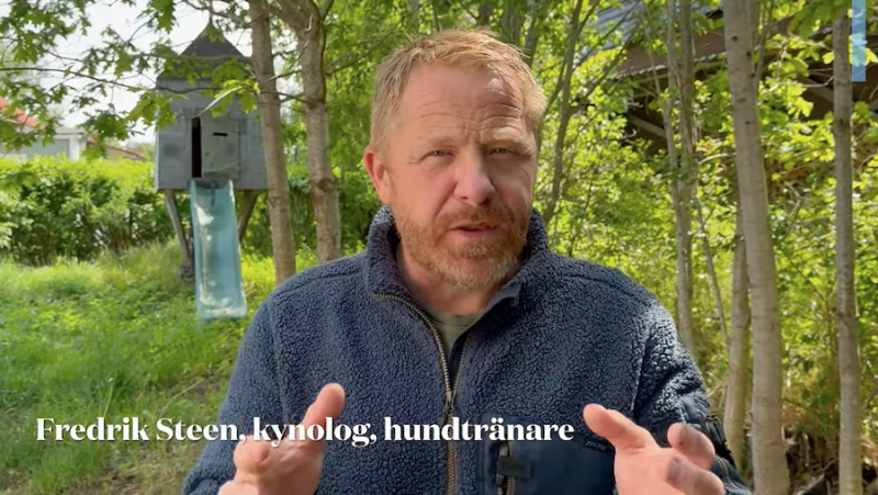 Tuggben i stället för proteintillskott