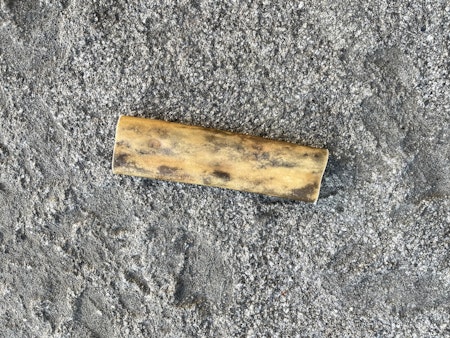 Tuggben nötrulle 14-16 cm (prenumeration 4 tuggben per månad)