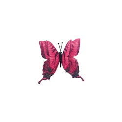 Hårclips  Butterfly Rosa eller Svart