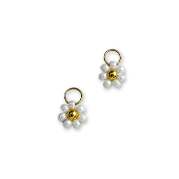 Daisy - anheng