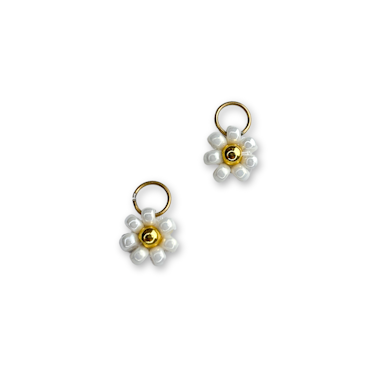 Daisy - anheng