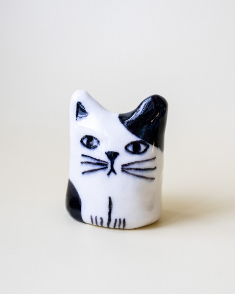 KATTEN (n°51)