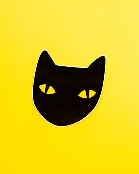 NATTKATT