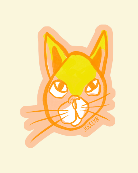 KISSEN