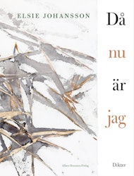 Då nu är jag