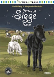 Natten då Sigge föddes