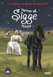 Natten då Sigge föddes