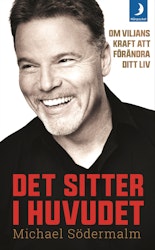 Det sitter i huvudet (pocket)