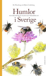 Humlor i Sverige