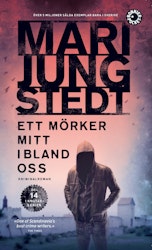 Ett mörker mitt ibland oss  (pocket)