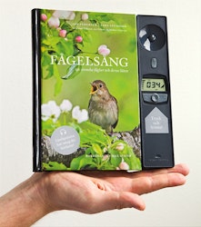 Fågelsång (kompakt)