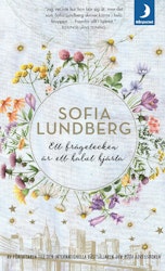 Ett frågetecken är ett halvt hjärta (pocket)