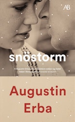 Snöstorm (pocket)